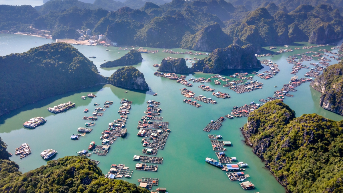 Halong Bay