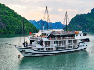 Oasis Bay Cruise