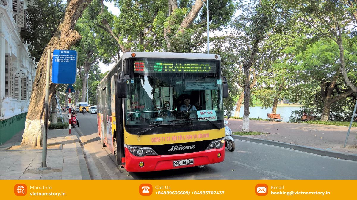 Buses offer a comfortable way to explore the countryside with low-budget.