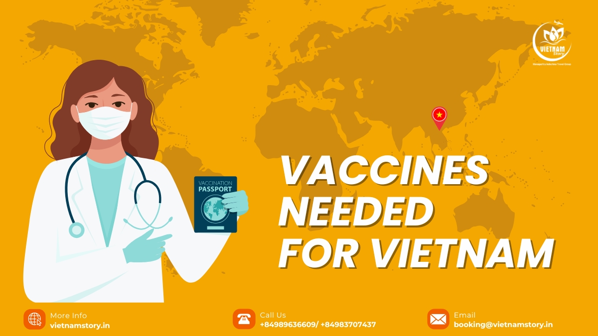 Safeguarding your journey: A comprehensive guide to vaccines needed for Vietnam Safeguarding your journey: A comprehensive guide to vaccines needed for Vietnam