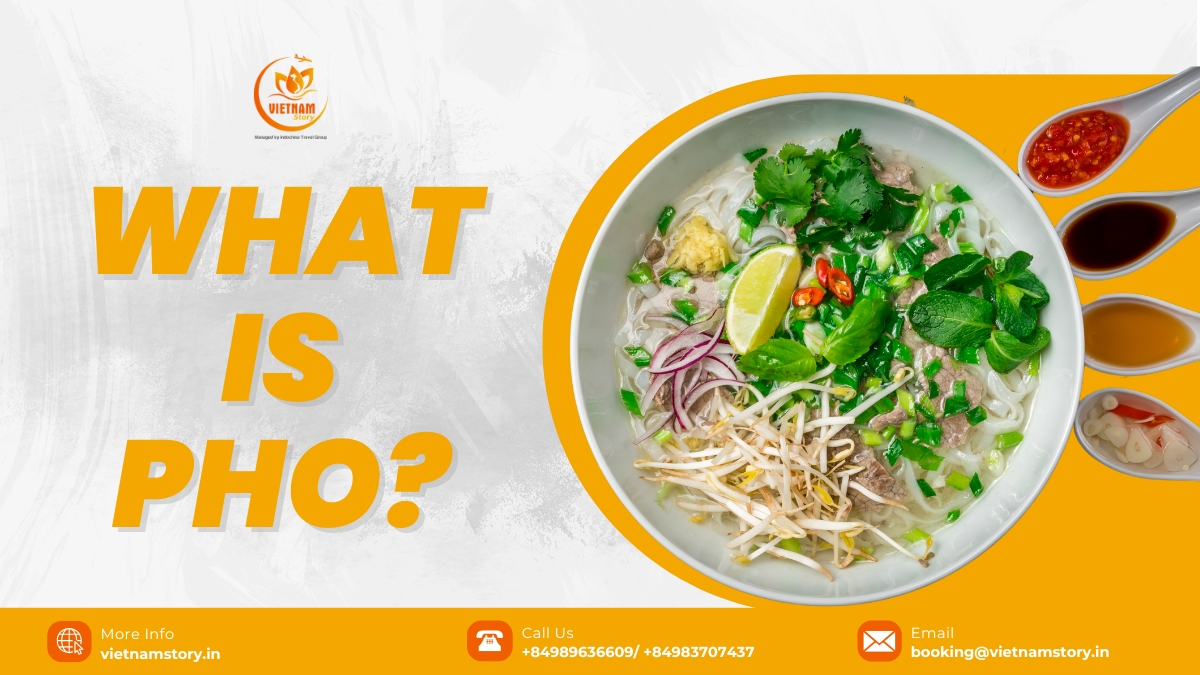 A steaming bowl of Vietnamese Pho soup with beef, noodles, and herbs. A steaming bowl of Vietnamese Pho soup with beef, noodles, and herbs.