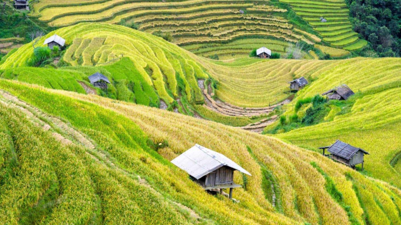 Mai Chau offers a serene escape from the bustling cities of Vietnam