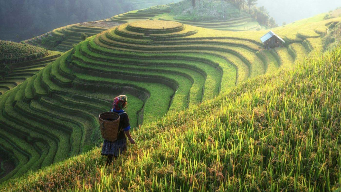 Pu Luong is a serene retreat with stunning rice terraces and rich cultural charm in  Thanh Hoa province