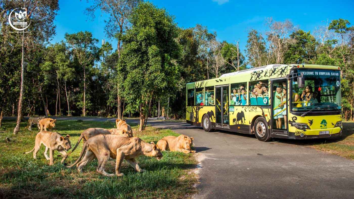 Tourists visit Vinpearl Safari Phu Quoc