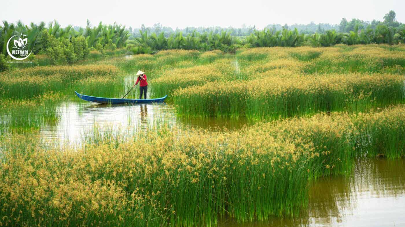 Way to Mekong Delta Travel from HCMC by Bus, Train, or Scenic Boat Trip