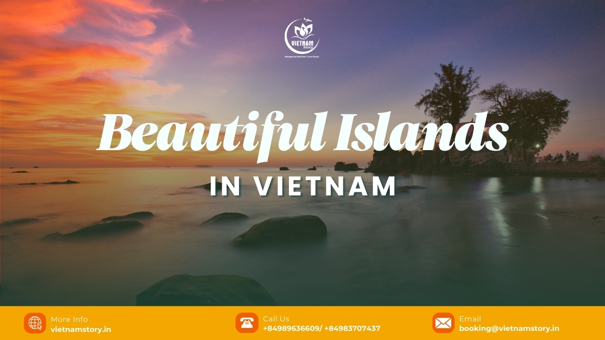 Discover the Most Beautiful Islands in Vietnam: An Indian Tourist's Guide 2 Panoramic view showcasing the natural beauty of Vietnam's islands