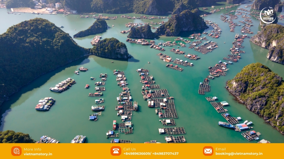 Cat Ba, near Hai Phong, is one of the most popular and beautiful islands in North Vietnam, bordering Lan Ha Bay. Limestone karsts rising from emerald waters in Lan Ha Bay near Cat Ba Island