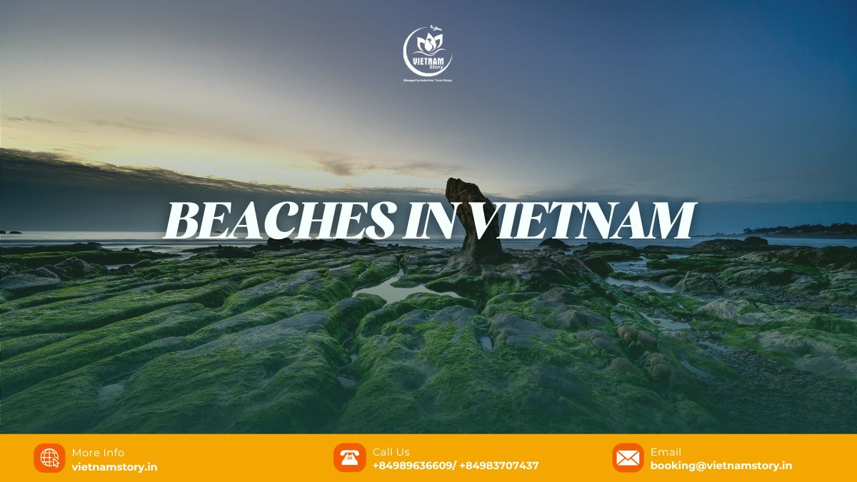 20+ Best Beaches in Vietnam Travellers Must Visit 2 Panoramic view of one of the stunning beaches in Vietnam with turquoise waters and white sand
