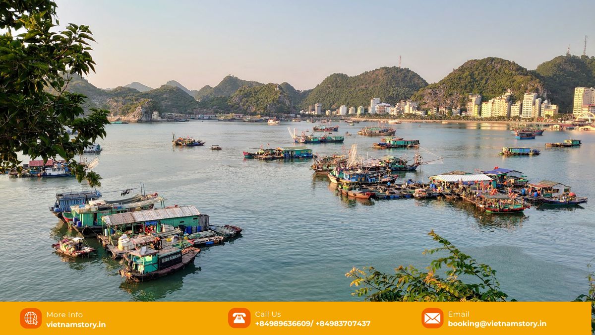 20+ Best Beaches in Vietnam Travellers Must Visit 3 Scenic view of a beach cove on Cat Ba Island, part of the Halong Bay area beaches in Vietnam.