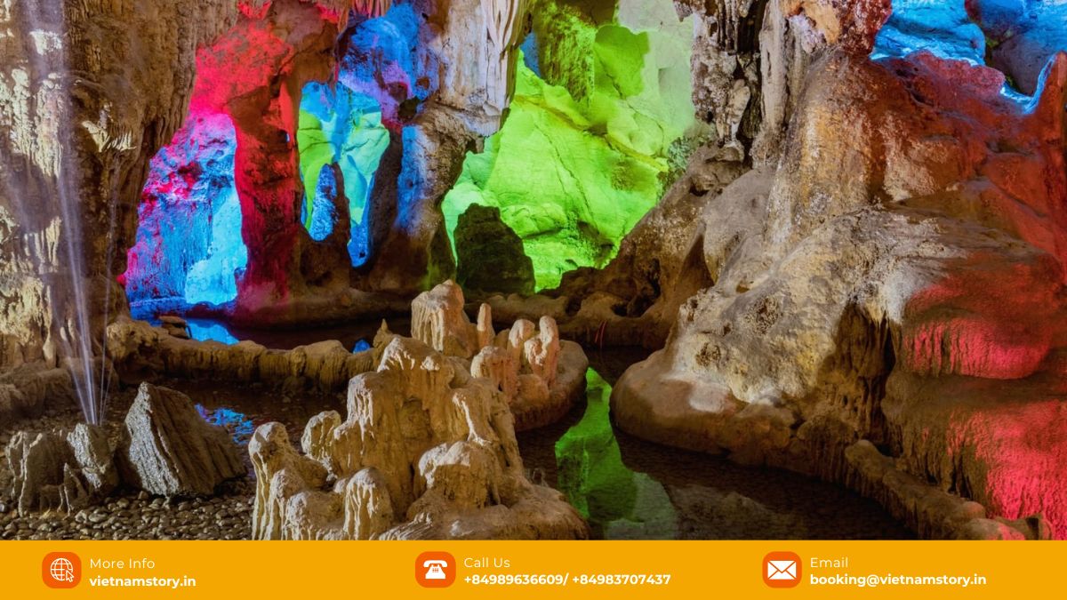 Explore 14 Majestic Caves in Vietnam: An Indian Traveller's Guide to Subterranean Wonders 7 Colourfully lit stalactites hanging down inside Dau Go Cave, Ha Long Bay