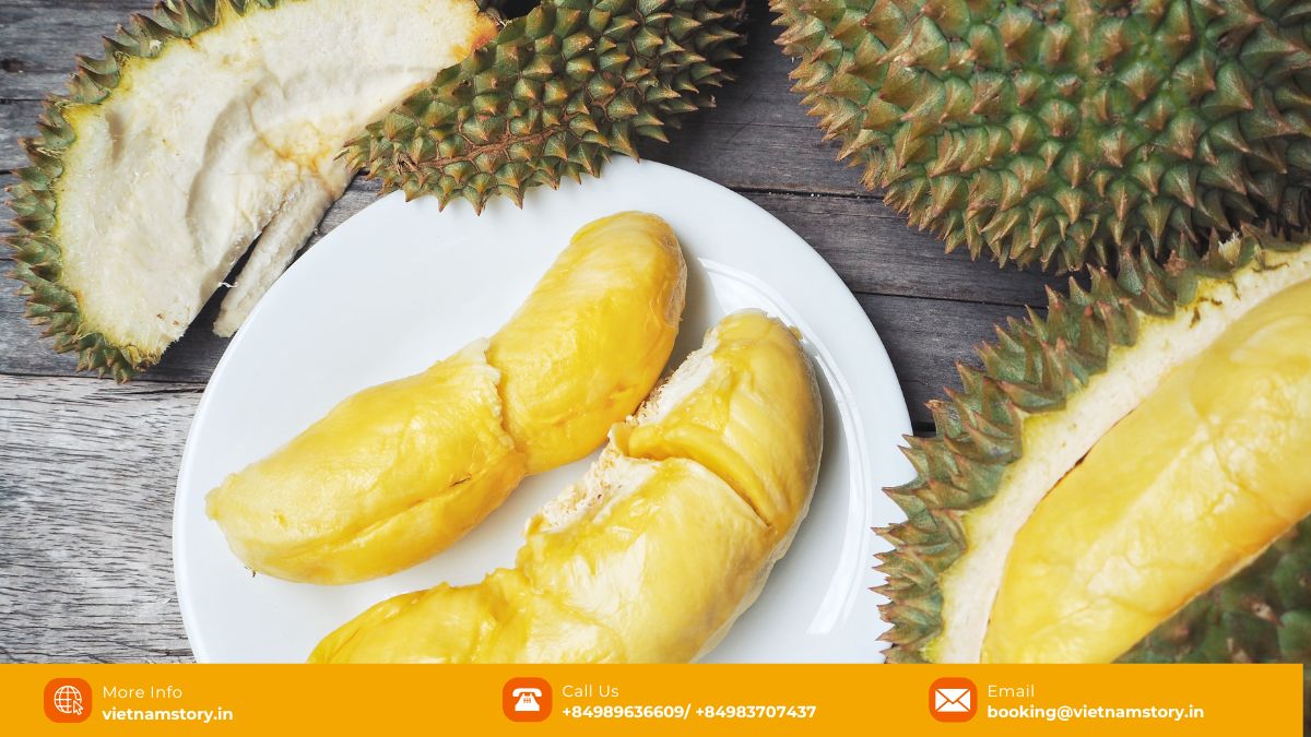 A Guide to the Wonderful World of Fruits in Vietnam for Travelers 2025 14 Durian fruit with thorny exterior, cut open to show creamy yellow flesh segments.