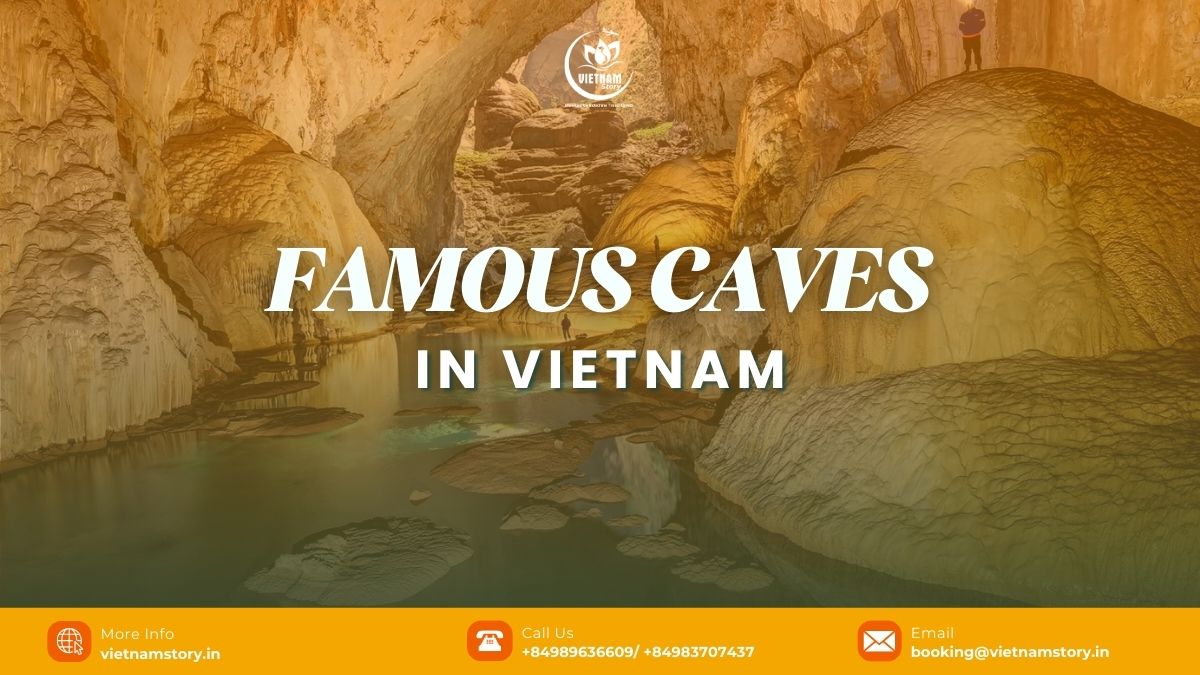 Explore 14 Majestic Caves in Vietnam: An Indian Traveller's Guide to Subterranean Wonders 2 Famous caves in Vietnam like Son Doong draw many adventure tourists worldwide