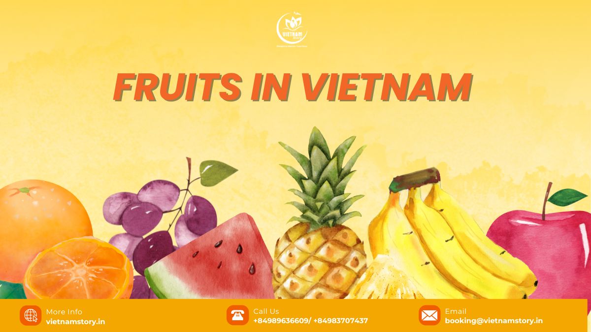 A Guide to the Wonderful World of Fruits in Vietnam for Travelers 2025 2 Colourful display of various tropical fruits in Vietnam, showcasing the country's agricultural bounty.