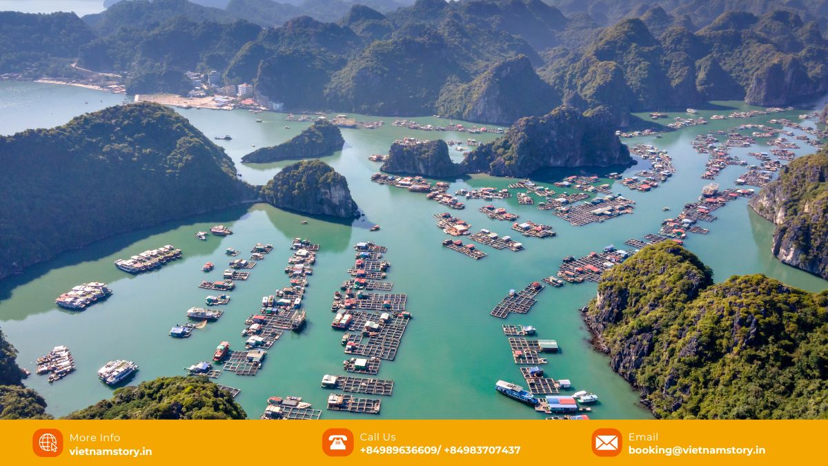 Your Ultimate Guide to 8 Amazing UNESCO World Heritage Sites in Vietnam 6 Dramatic limestone karsts rising from emerald waters in Ha Long Bay, a renowned Vietnam UNESCO World Heritage Site.