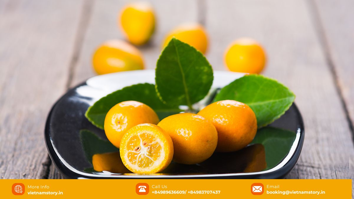A Guide to the Wonderful World of Fruits in Vietnam for Travelers 2025 16 Small Kumquat tree laden with bright orange fruits, a symbol of Tet.