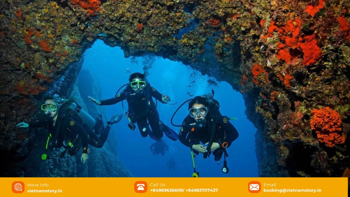 Scuba Diving in Vietnam: Unveiling an Underwater Paradise 7 Chart or graphic illustrating scuba diving costs in Vietnam