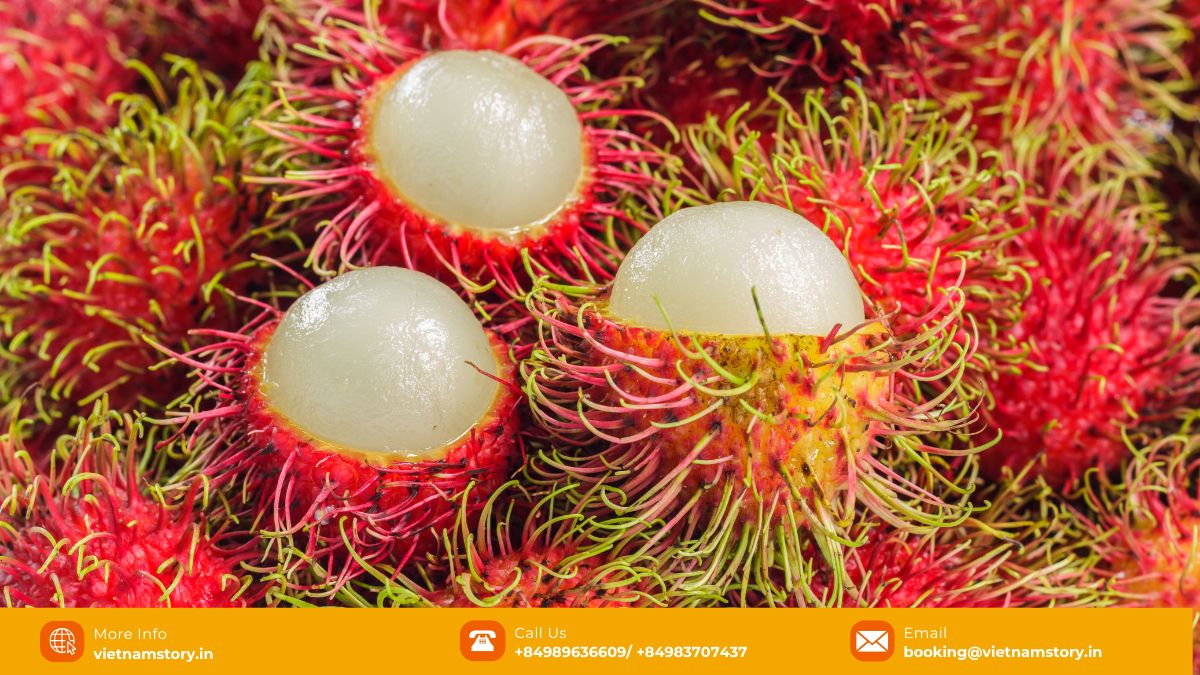 A Guide to the Wonderful World of Fruits in Vietnam for Travelers 2025 5 Bright red Rambutan fruits with characteristic hairy exterior.