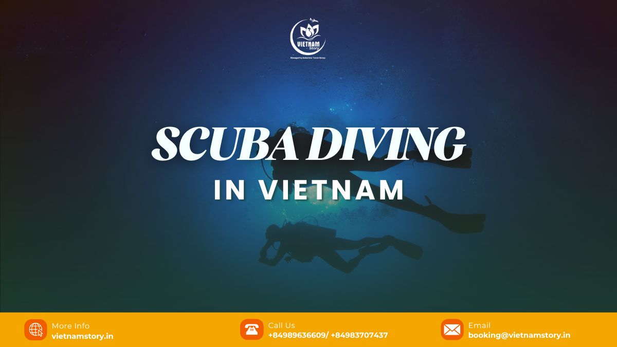 Scuba Diving in Vietnam: Unveiling an Underwater Paradise 2 A scuba diver explores a vibrant coral reef in Vietnam