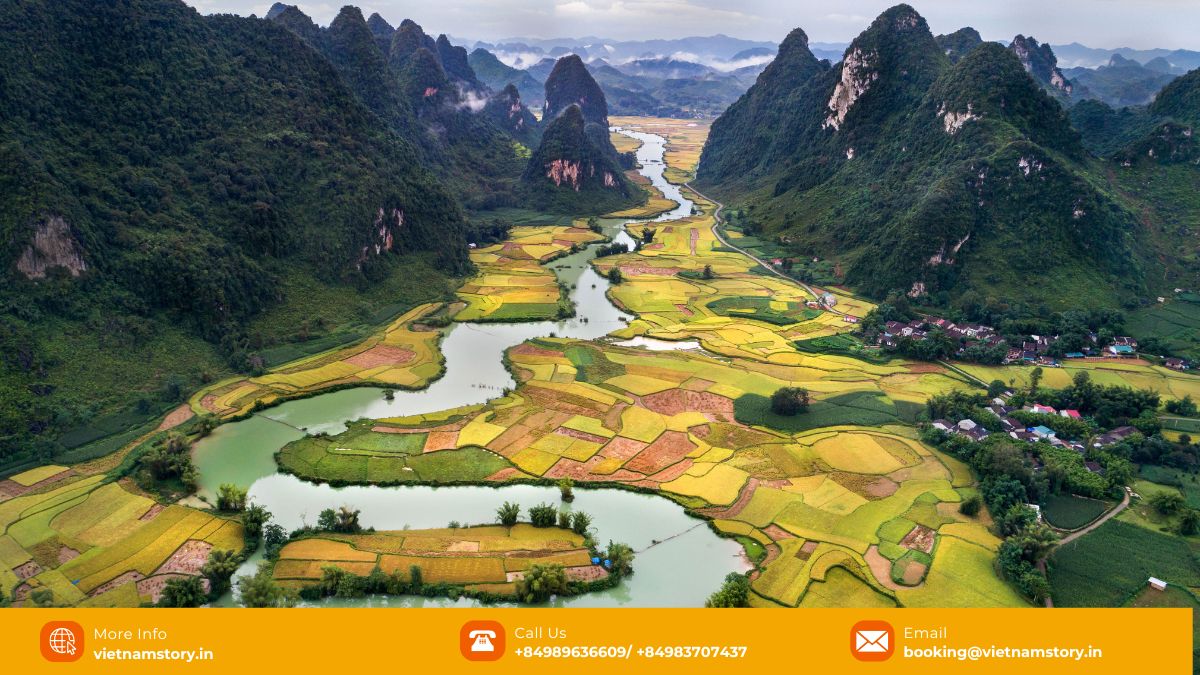 Discover the Breathtaking Natural Wonders in Vietnam: Your Guide to Unforgettable Tours 9 Golden rice terraces surround the karst formations in Tam Coc, Ninh Binh, known as 'Ha Long Bay on Land'.
