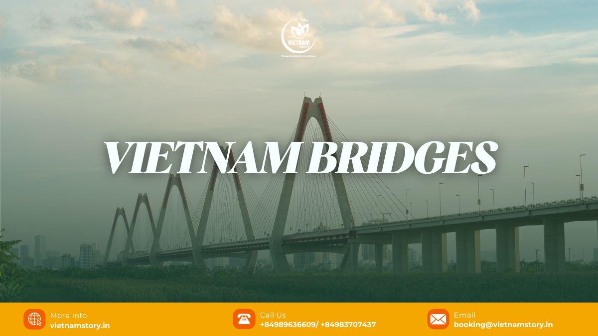 Top Vietnam Bridges: Must-Visit Architectural Marvels for Your Tour 2 Collage of various famous Vietnam bridges showcasing architectural diversity and historical value