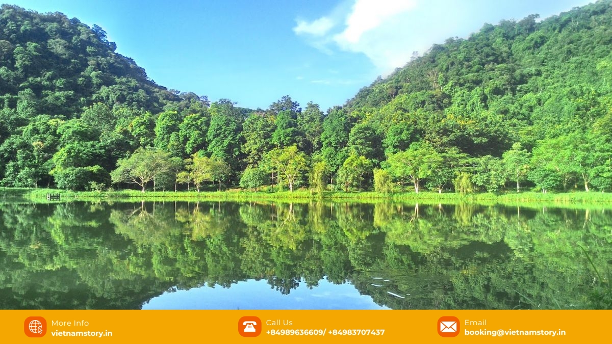 Top places to visit in Ninh Binh: Your ultimate first-timer's guide 5 See why many tourists consider Cuc Phuong National Park a beloved destination