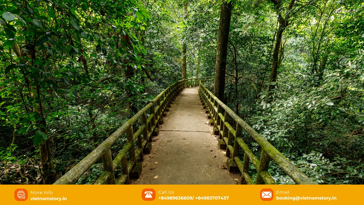 How many days enough to Vietnam? A tailored guide for Indian travelers 7 Take a break and let loose in nature in the center areas