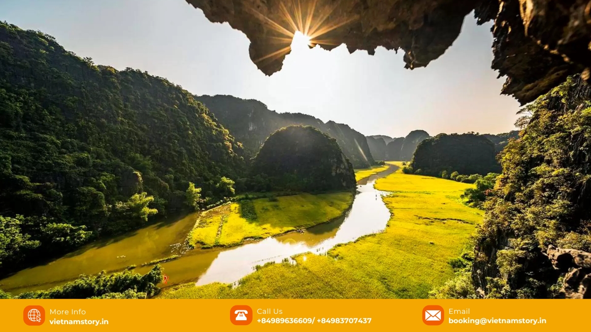 Top places to visit in Ninh Binh: Your ultimate first-timer's guide 3 Ninh Binh’s rice paddies in the harvest season