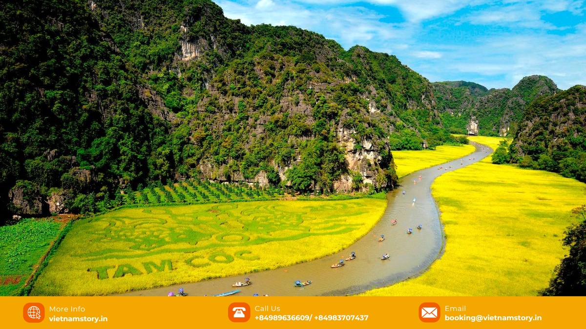 Ninh Binh or Sapa: Which is better for your unforgettable Vietnamese journey? 3 Tam Coc Ninh Binh's rice fields