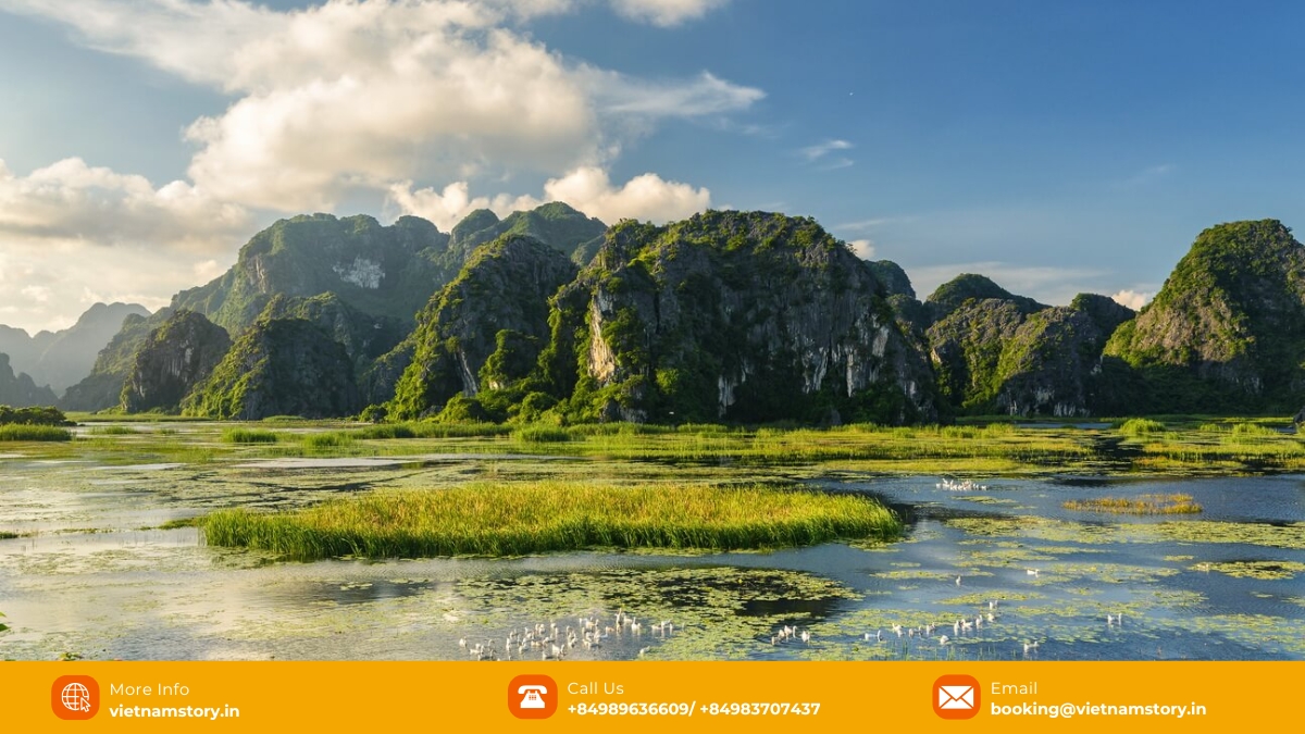 Van Long Nature Reserve: Ninh Binh's Tranquil Gem for Your Vietnam Trip 2 Come to Van Long Wetland Nature Reserve and take in all the sights and sounds