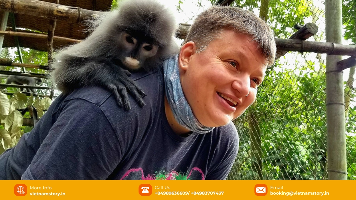 The rescue center is home to endangered primates like the Cat Ba Langur and Douc Langur The rescue center is home to endangered primates like the Cat Ba Langur and Douc Langur