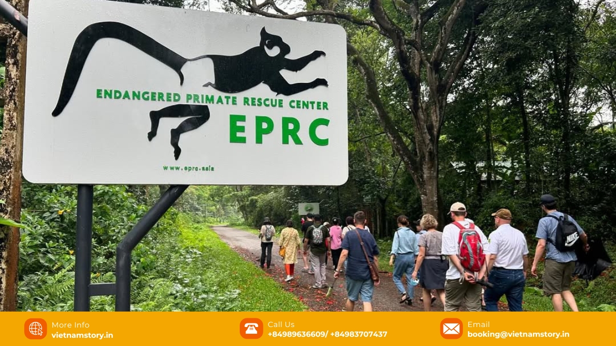 The Endangered Primate Rescue Center is a nature lover's paradise, where visitors can get up close to rare primates. The Endangered Primate Rescue Center is a nature lover's paradise, where visitors can get up close to rare primates.