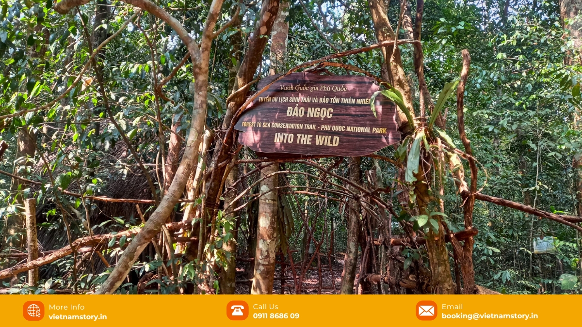 Your guide to the wild heart of Phu Quoc National Park 5 Be well-prepared to have a perfect trip to with your companions