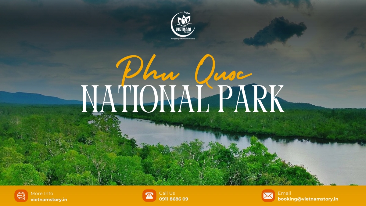 Your guide to the wild heart of Phu Quoc National Park 2 If you are a nature lover, Phu Quoc National Park is an ideal place to visit